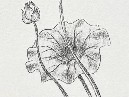一分钟学会!超简单的画荷花方法✿ ◡‿◡✿ #绘画教程 #一起学画画 #画荷花 #荷花画法 #画花