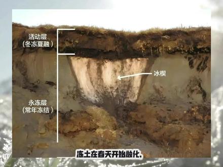地面在“塌陷”:春天最安静的破坏者——冻土融化#地理#科普