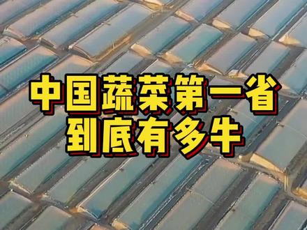中国蔬菜第一大省——山东,到底有多牛?#农业 #蔬菜 #山东 #新农人计划2022 @抖音小助手
