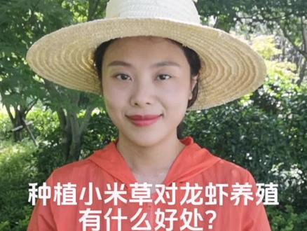 小龙虾养殖推荐用精品小米草籽,养虾神草👍#小龙虾养殖 #水产养殖 #小米草 #三农 #水草种子