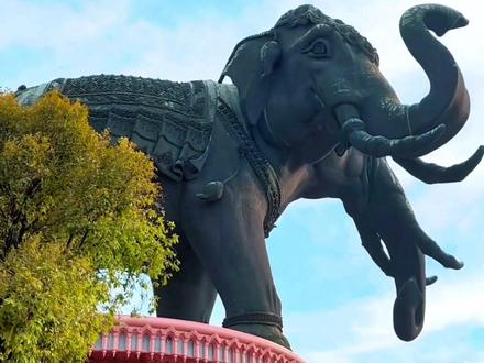 曼谷三头像博物馆!喜欢粉色又爱好大象的来这里没错了! #象神 #大象 #泰国 #曼谷 @抖音小助手 @抖音创作者中心 @抖音热点 @抖音服务中心 @抖音