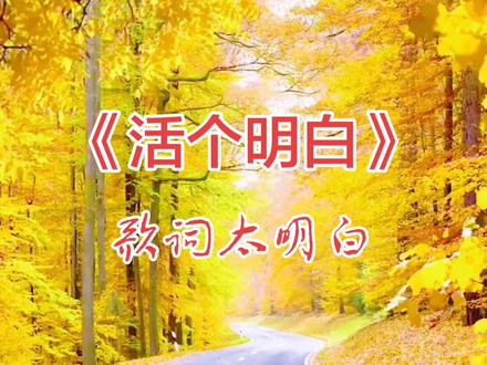 这歌词很治愈,活个明白人。