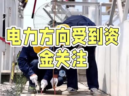 电力核心公司 #股票 #财经 #干货分享