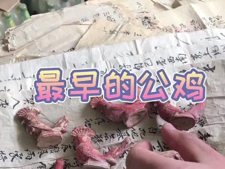 #历史文化 #民俗 #收藏 #老物件 @抖音小助手 最早的公鸡哨子,玩过的举手🙋🙋♂️