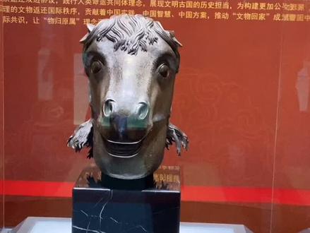 #马首回归圆明园 上面的鬃毛能看的清清楚楚