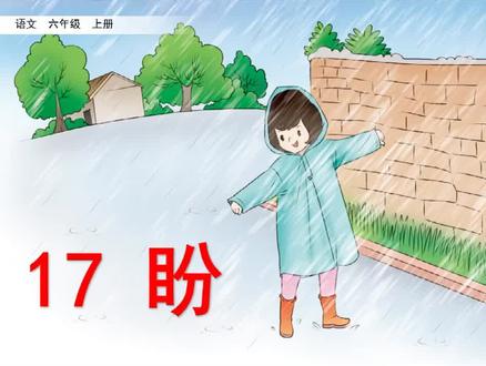 【预习指南】-语文-6上-17 盼