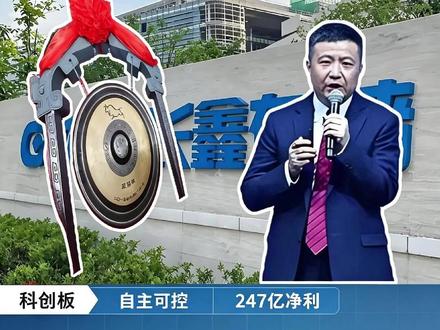长鑫科技IPO过会!国产内存终于要上市了 #长鑫存储 #芯片 #国产 #半导体