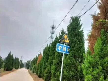 霍州故事汇,李家坟金首之谜
