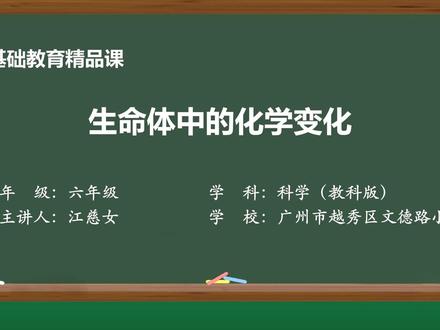 教科版科学六年级下册精品课件