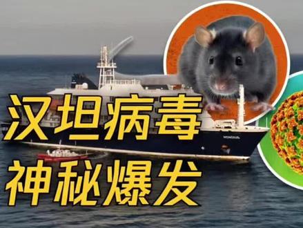 上一次是军运会之后新冠流行,那么这一次会不会是世界杯后汉坦流行呢?#汉坦病毒#安第斯毒株
