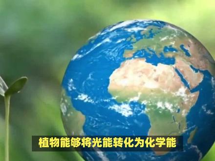 光是电磁波太阳光可见光光是宇宙中最重要的能量光能转化为化学能 #光 #阳光 #宇宙 #能量 #光能 #化学能