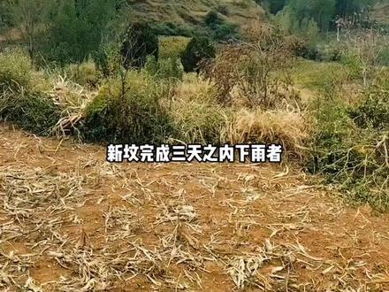#老杨约您一起野外# 老杨解惑答疑