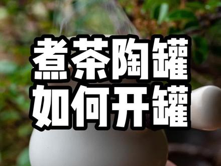 #创作灵感 第一集 开罐煮茶第一步#六堡茶 #今天你喝茶了吗 #茶生活 #喝出来的健康
