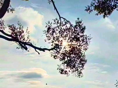 吃瓜第101集:关于清修明史#认知 #历史