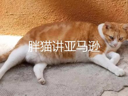 对召回Recall商品的申诉和恢复
