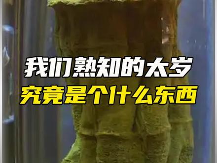 太岁到底是个什么东西#纪录片 #科普 #认知