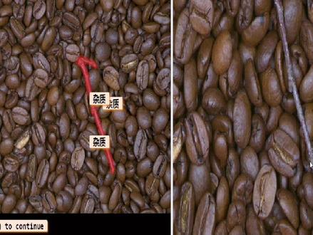 利用深度学习,语义分割算法检测咖啡豆中的杂质#咖啡豆 #halcon #海康威视 #深度学习 #缺陷检测