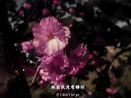 在路上看到一朵花教程 花朵调色教程~#剪辑教程 #新手剪辑 #零基础学剪辑 #剪映