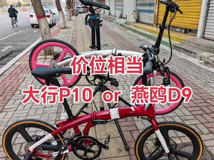 终于开张了,价位相当选大行p10还是tern燕鸥d9#折叠车推荐#折叠车对比