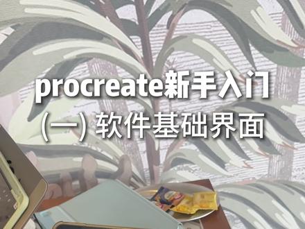 入门一:文件整理与画布设置
#板绘 #板绘过程 #板绘基础 #procreate绘画 #软件基础