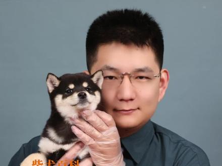 进来看看犬舍是怎么打疫苗的!#柴犬 #豆柴 #黑柴 #柴犬幼犬