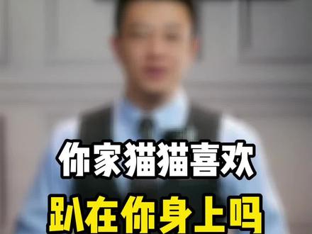 你家猫猫喜欢爬你身上吗?#科学养宠攻略 #养猫进阶指南 #猫咪迷惑行为