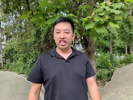 古人喜欢在房屋旁栽种桑树和梓树,所以用“桑梓”代表家乡#梓 #梓树 #野生植物 #植物 #植物科普