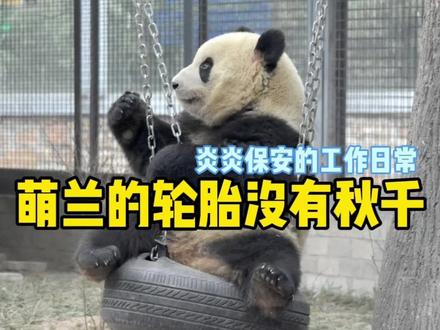 萌兰的轮胎没有秋千 #大熊猫 #萌兰 #炎炎保安 #熊猫日常 #搞笑配音 #搞笑视频