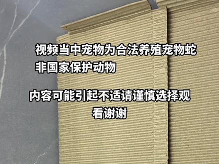 宠物蛇不吃东西怎么办?如何开食?
简单,第三期开食视频来啦!!
#宠物蛇 #爬宠 #猪鼻蛇 #玉米蛇 #神奇动物在抖音