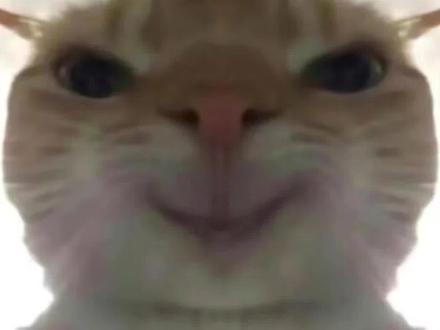 华为nova 15 Pro这6500mAh的大电池也太顶
了!史上最强+性能全面升级,真是超级nova
超级香!12月25号10:08正式开售,购机享
800元新机权益礼包,12.31前再送249 元
HUAWEI Care+(一年期)权益,换机必冲!
#华为novat5系列正式开售 #此刻枫头正劲#续航焦虑 #华为nova15上手体验