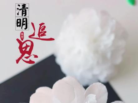清明节快到了,用纸巾做一朵小白花,缅怀逝者,寄托思念! #清明节手工 #小白花 #手工花束