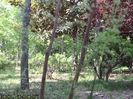 奥特曼真人版:怪兽夺取赛罗能量石。全民英雄合体上阵,怪兽找死