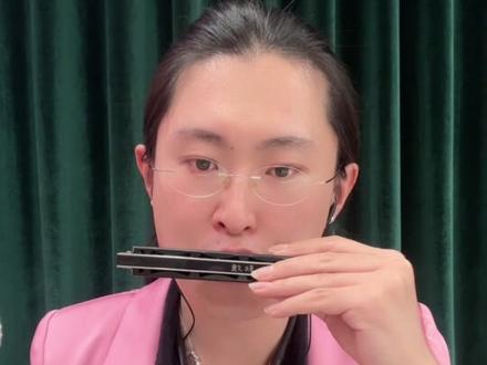 同价位单音口琴和复音口琴对比。#口琴测评