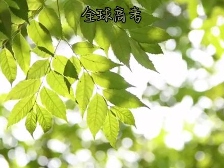 游惑:我真的会谢😓#全球高考 #广播剧