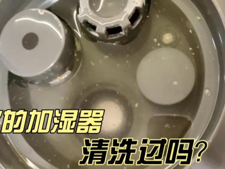 加湿器用的时间一长会有水圬沉淀要定期清理加自来水和纯净水都清#加湿器 #除水垢 #杀菌消毒 #垃圾处理器 #杀菌 #家电小妙招 #清洁 #节约水资源