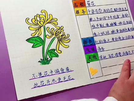 分享小姐姐的作业~♥️#我的植物朋友#植物备忘录📝