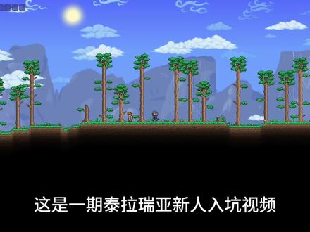 以最简洁易懂的方式带你玩懂泰拉瑞亚!一看就会的新人入坑!