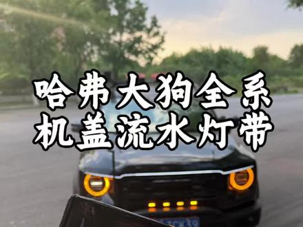 大狗全系车型,包括大狗plus和二代大狗都可以用的机盖灯带,无损安装,颜值和可玩性拉满!#哈弗大狗 #大狗plus #车载好物 #灯带 #车载装饰灯