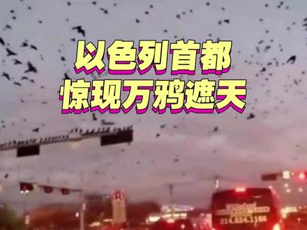 圣经预言应验?特拉维夫乌鸦蔽日 #以色列 #乌鸦 #圣经 #犹太人 #报应来了