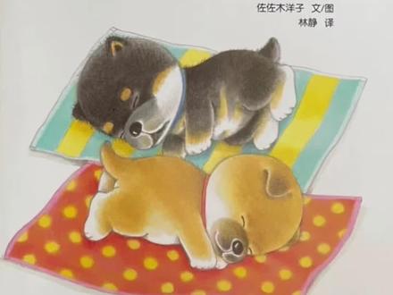 第五集|0-2岁绘本图书小毯子哪去了#童声掌灯人 #绘本分享 #教育