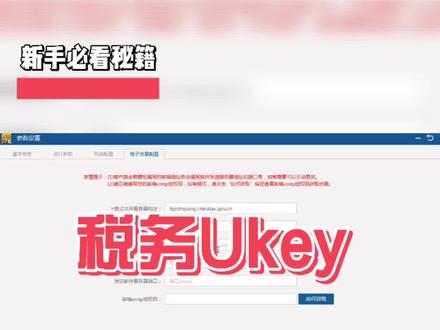 税务ukey软件邮箱设置#税务ukey @抖音小助手