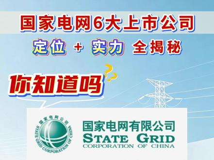 国家电网6大上市公司 定位+实力 全揭秘 #国家电网 #国电南瑞 #国网英大
