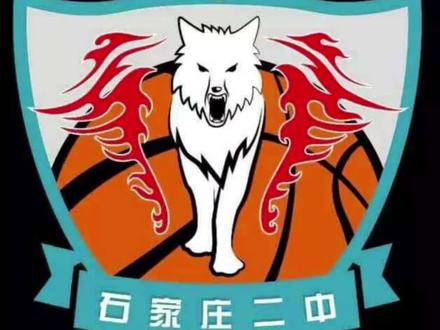 石家庄二中男篮全体队员。