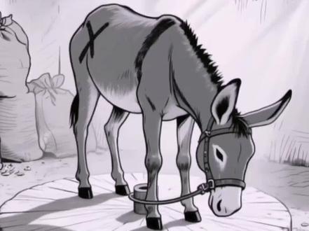 毛驴十年拉磨成专家,解开缰绳只会原地转圈。#动画 #人性#情感认知