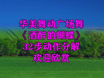 广场舞酒醉的蝴蝶请你欣赏