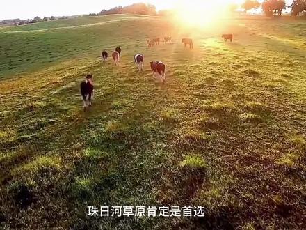 国庆假期,不要整天看手机了,带上父母约上几个好友,到通辽,来一场美好的短途旅行吧!#文化旅游 #国庆 #旅游攻略 #通辽 #草原