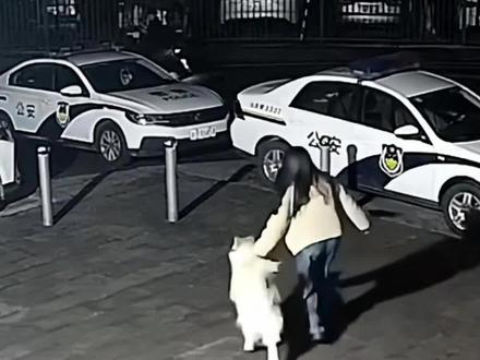 狗狗和主人都知道,走丢了要找警察叔叔#狗狗 #宠物 #万万没想到