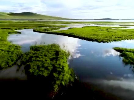 美丽的草原我的家