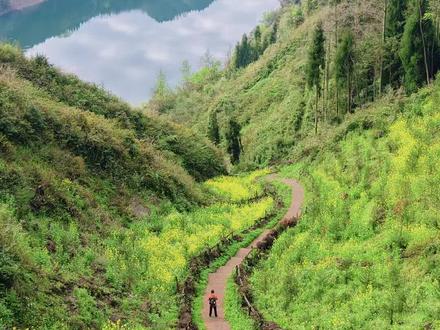 📍蓥华山中山子步道 导航「中山子步道」,免费停车,
迷你线3km往返(亲子友好);进阶环线约9.2km,门票:免费;无景区收费,纯公益步道#徒步#蓥华山