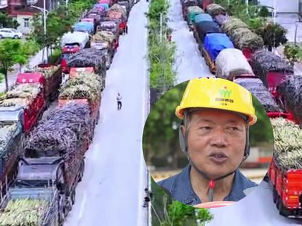 官宣!耀明糖厂延长榨期。 陈耀喊话蔗农不要急,大家根据自己的节奏来砍甘蔗。#耀明糖厂 #化州糖厂 #化州